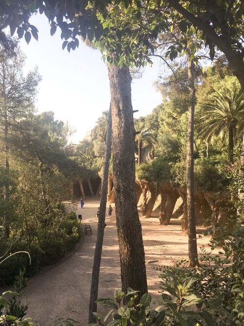 Dirt paths and green trees inside Parc Guell in the afternoon