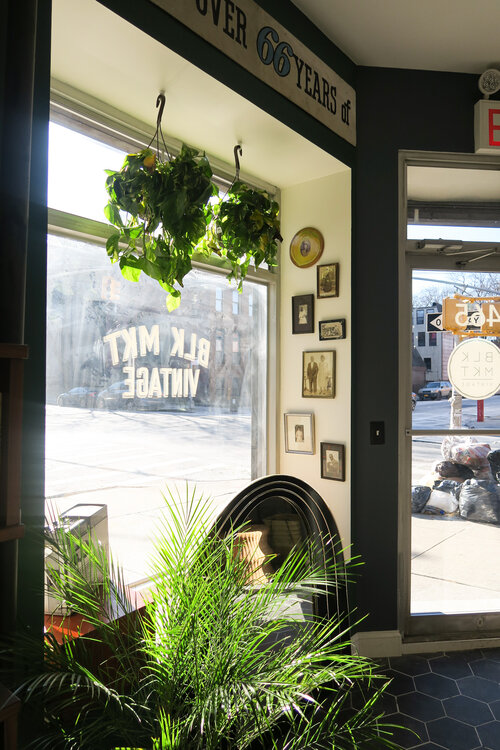 Inside of women owned business BLK MKT Vintage with the sun shining though the side entrance window with two green plants hanging from the ceiling