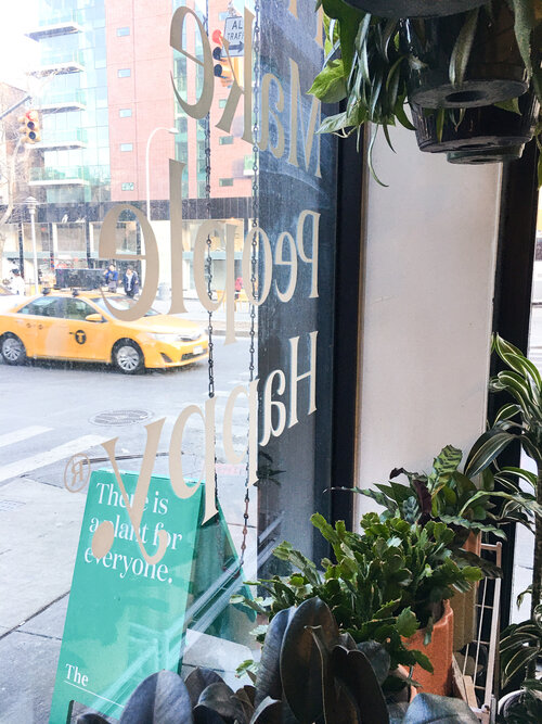 Inside women owned businesses The Sill with plants by the front window as a yellow taxi drives by
