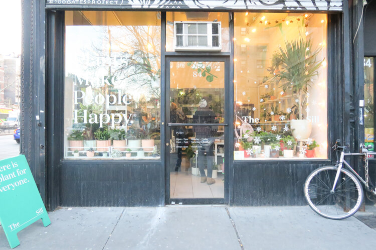 The Black store front of The Sill with a bicycled leaned on the side in the Lower East Side in New York City