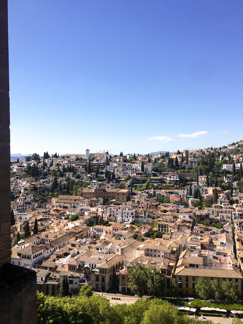 Views of white houses with brown roofs and green trees from the Alhambra