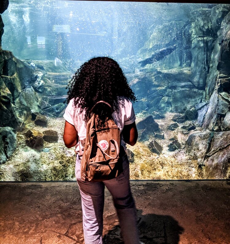 Kim looking at the fish at the Georgia Aquarium in Atlanta Georgia while traveling alone