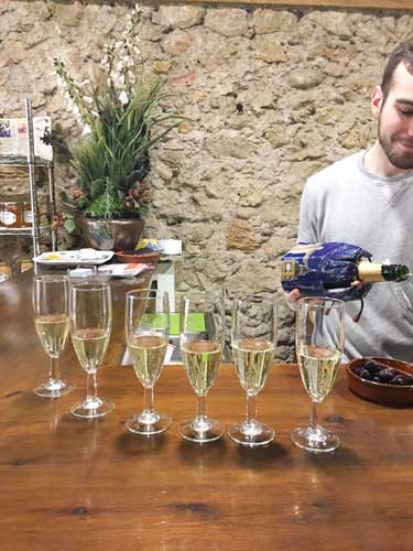 Man pouring cava into glasses at vineyard in Barcelona